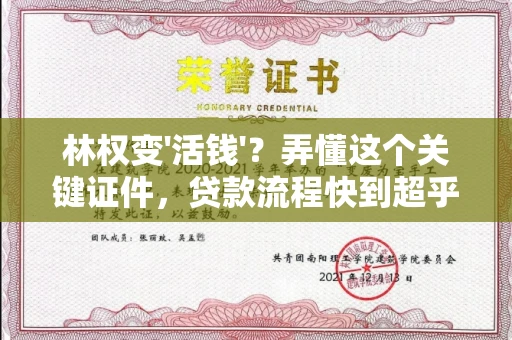 全国林权变'活钱'?弄懂这个关键证件,贷款流程快到超乎想象!
